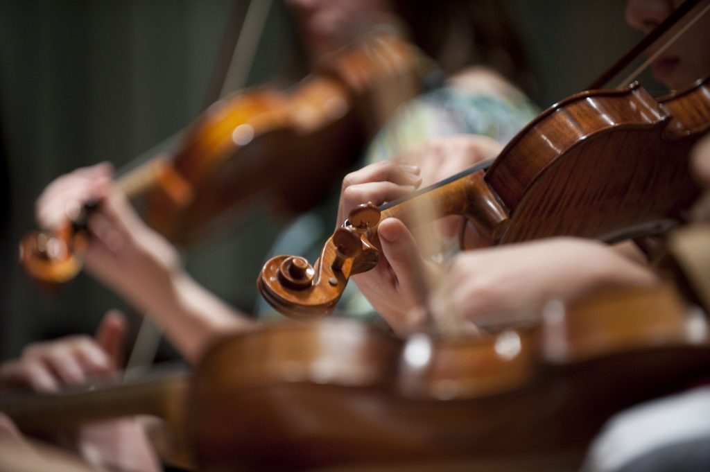 Violin close up